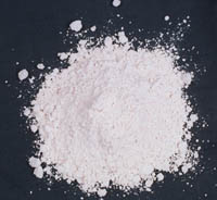 Supplements: calcium powder
